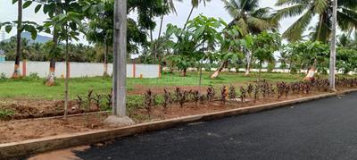 Bhogapuram Plot View 3