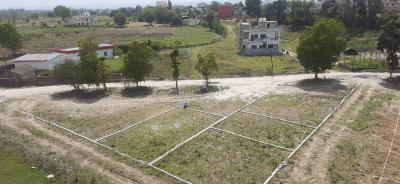 Doiwala Plot View 3