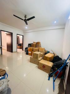 Hall Image of 1250 Sq.ft 2 BHK Builder Floor for rent in Sector 46 Gurgaon for Rs. 37500