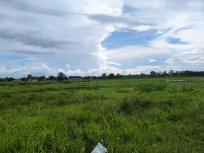 Bratachari Gram Plot View 1