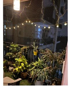 Balcony Image of 1450 Sq.ft 2.5 BHK Apartment / Flat for sale in Panchsheel Wellington, Crossings Republik Ghaziabad for Rs. 10500000