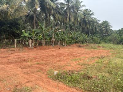 Balamurugan nagar Plot View 2