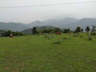 Image of 2250 Sq.ft Residential Plot / Land for sale in Morni, Panchkula for Rs. 2000000
