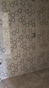 Bathroom Image of 712 Sq.ft 1 BHK Apartment / Flat for rent in Whitefield Bengaluru for Rs. 28000