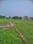 Prince colonyGhamahapur Main Image 1