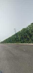Image of 1386 Sq.ft Residential Plot / Land for sale in Spiti Palm Estate, Farukh Nagar, Gurgaon for Rs. 9700000