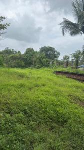 Image of 696960 Sq.ft Residential Plot / Land for sale in Murbad, Thane for Rs. 352000000