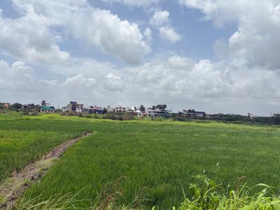 Image of 1089 Sq.ft Residential Plot / Land for sale in Uran, Navi Mumbai for Rs. 500000