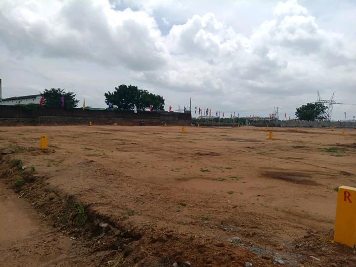 SGD Elite Main Image 1