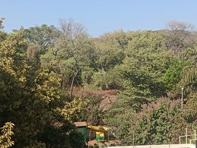 Image of 4730 Sq.ft 4 BHK Apartment / Flat for sale in Brigade Rhapsody, Vasanth Nagar, Bengaluru for Rs. 102500000