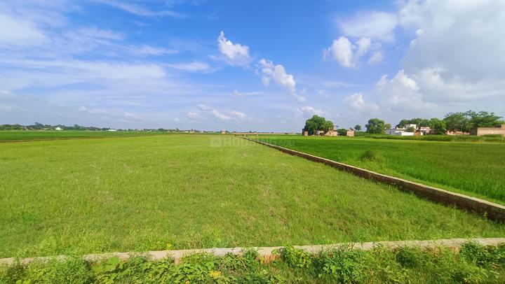 Baragaon Main Image 1
