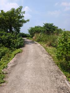 Image of 2880 Sq.ft Residential Plot / Land for sale in Joka, Kolkata for Rs. 799989
