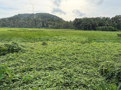 Image of 2000 Sq.ft Residential Plot / Land for sale in Perumbavoor, Kochi for Rs. 329000