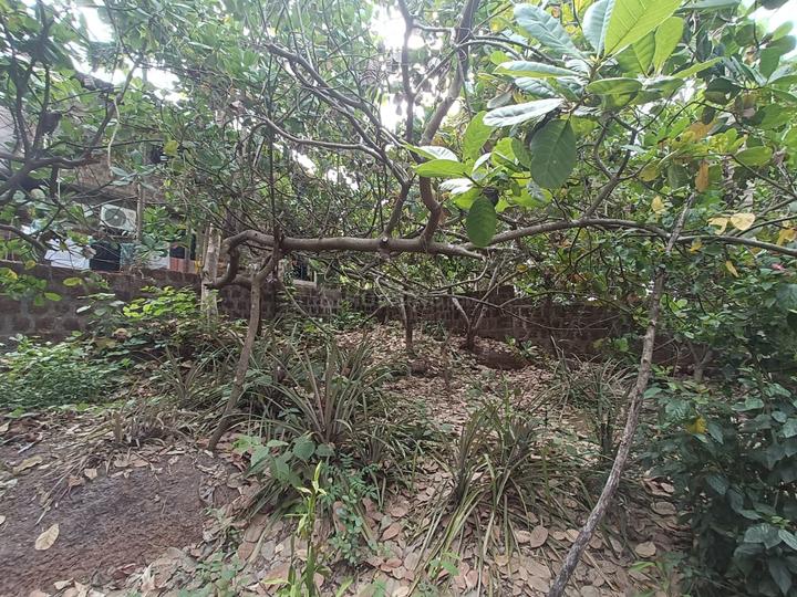 Sarvan, Bicholim Main Image 1