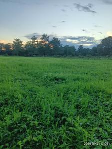 Image of 14400 Sq.ft Residential Plot / Land for sale in Ram Nagar, Dhemaji for Rs. 889999