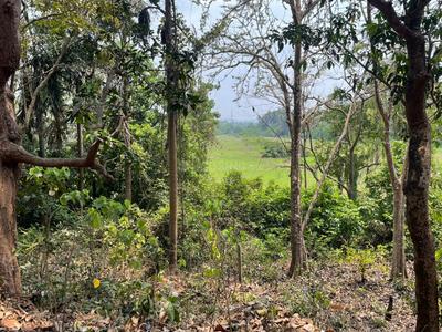 Image of 525 Sq.ft Residential Plot / Land for sale in Tivim, Goa for Rs. 16800000