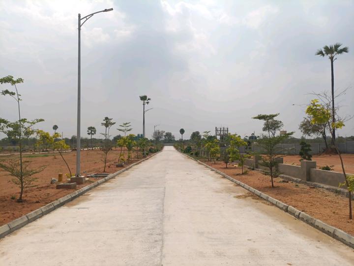 SGD Elite Main Image 1