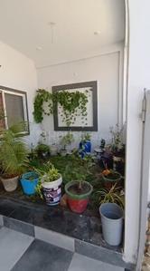 Kitchen Image of 2000 Sq.ft 3 BHK Independent House for rent in Silicon City Indore for Rs. 25000