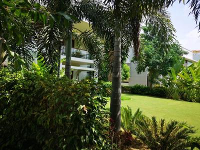 Image of 6300 Sq.ft 6 BHK Villa for sale in Thaltej, Ahmedabad for Rs. 280000000