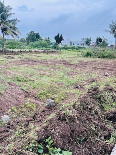 Koregaon Mul Main Image 1