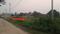 Amausi Plot View 2