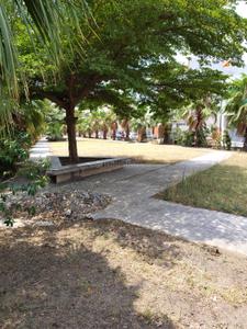 County Walk Township Plot View 1