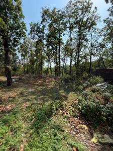 Residential Plot