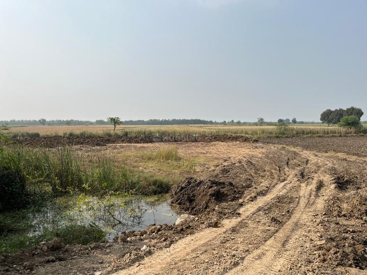 Kanjari Main Image 1