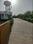 Beelwa Plot View 2
