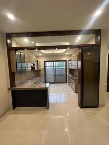 Hall Image of 852 Sq.ft 1 BHK Apartment / Flat for rent in Vijay Nagar Indore for Rs. 18200
