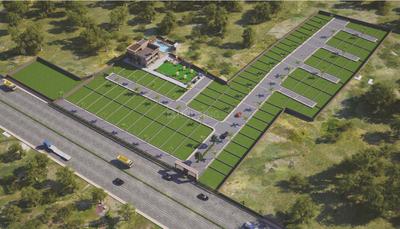 NILL Plot View 1