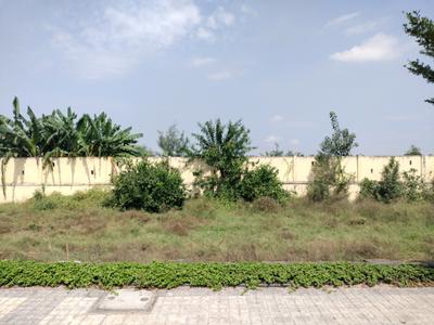 Image of 161 Sq.ft Residential Plot / Land for sale in Soha Neal City, Sector 98, Faridabad for Rs. 20125000