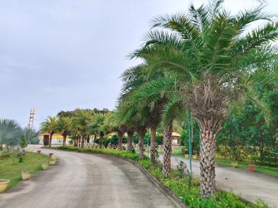 Image of 1000 Sq.ft Residential Plot / Land for sale in Tifra, Bilaspur for Rs. 1150000