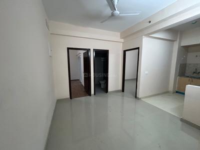 Hall Image of 1115 Sq.ft 2 BHK Apartment / Flat for rent in Amrapali Dream Valley 2, Noida Extension Greater Noida for Rs. 20800