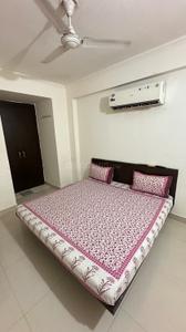 Bedroom Image of 900 Sq.ft 1 BHK Builder Floor for rent in Malviya Nagar Jaipur for Rs. 17000