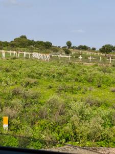 Image of 1114 Sq.ft Residential Plot / Land for sale in Mhasrul 181, Mhasrul Gaon, Nashik for Rs. 3100000