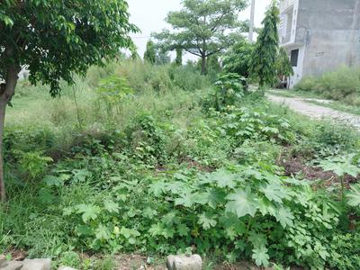Image of 2152 Sq.ft Residential Plot / Land for sale in Chhoti Vihar, Bareilly for Rs. 3200000