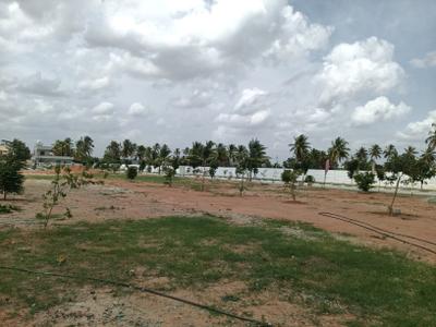 Image of 2000 Sq.ft Residential Plot / Land for sale in Hoskote, Bengaluru for Rs. 13400000