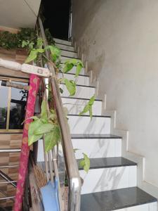 Image of 250 Sq.ft 2 BHK Independent House for sale in Sarkhej, Ahmedabad for Rs. 4500000