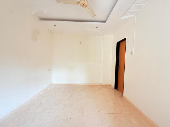 Phinix Silver Dale Main Image 1