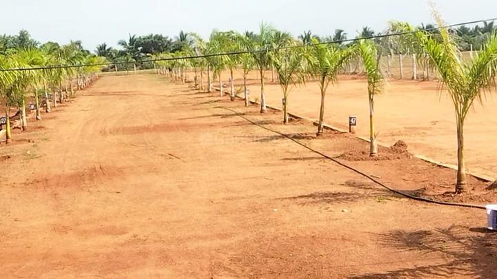 Mukkampatti Main Image 1