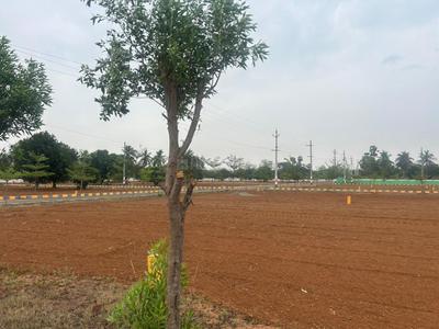 Image of 167 Sq.ft Residential Plot / Land for sale in Pusapatirega, Vizianagaram for Rs. 3340000