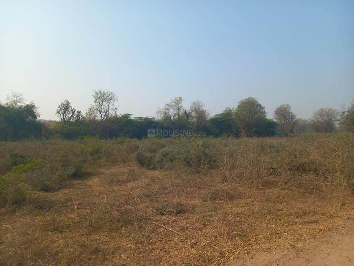 Chekhla Main Image 1