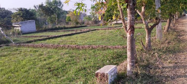 Uttara Main Image 1