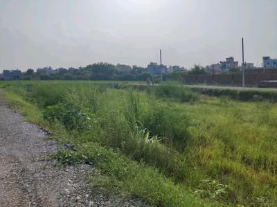 Chhapraula Plot View 2
