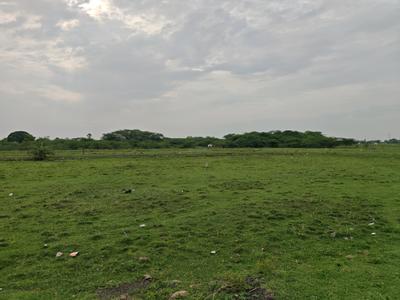 Image of 800 Sq.ft Residential Plot / Land for sale in Chengalpattu, Chennai for Rs. 1199237