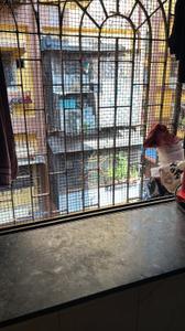 Balcony Image of 190 Sq.ft 1 RK Apartment / Flat for rent in Lower Parel Mumbai for Rs. 19000