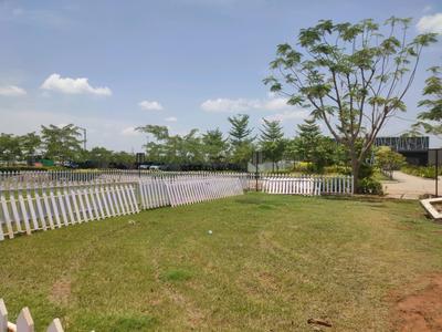 Residential Plot