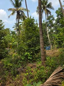 Image of 4655 Sq.ft Residential Plot / Land for sale in Minalur, Thrissur for Rs. 125000
