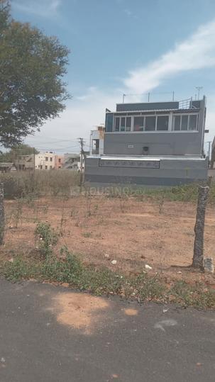 Kalapatti Main Image 1